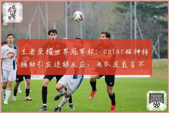 王者荣耀世界冠军杯：estar猫神转辅助引发连锁反应，老队友直言不看好