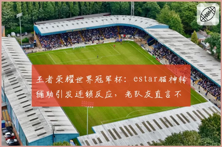 王者荣耀世界冠军杯：estar猫神转辅助引发连锁反应，老队友直言不看好